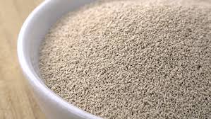 Instant Dry Yeast manufacturers in India